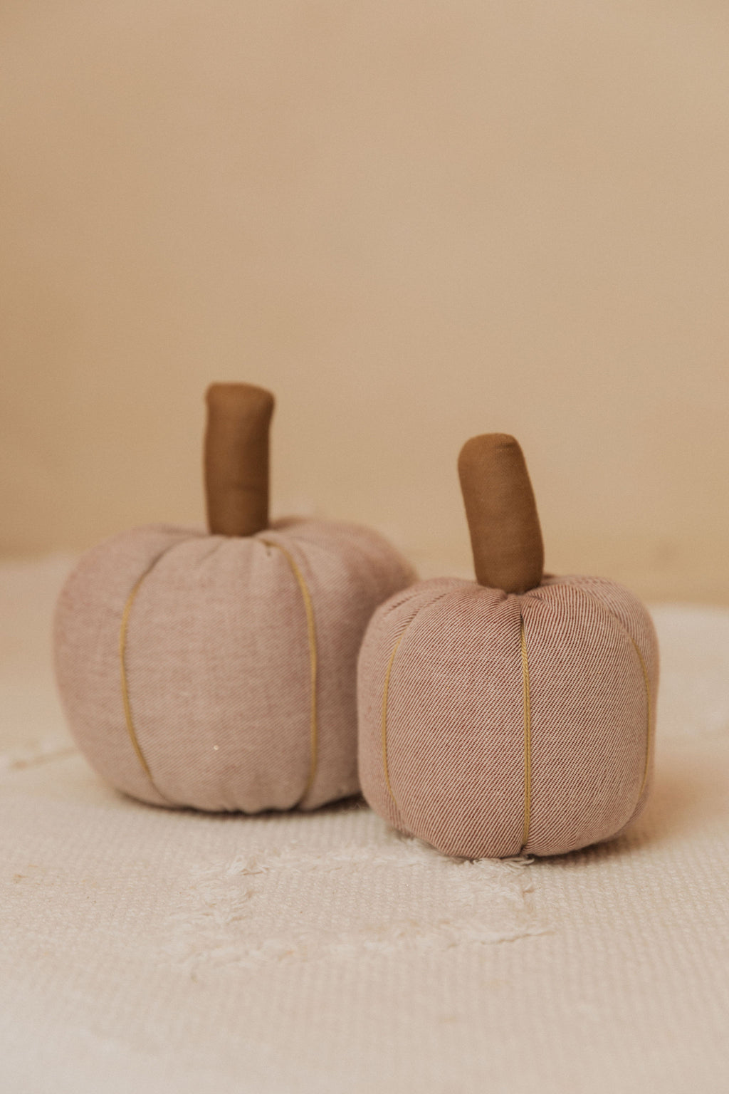 Calabaza Pequeña