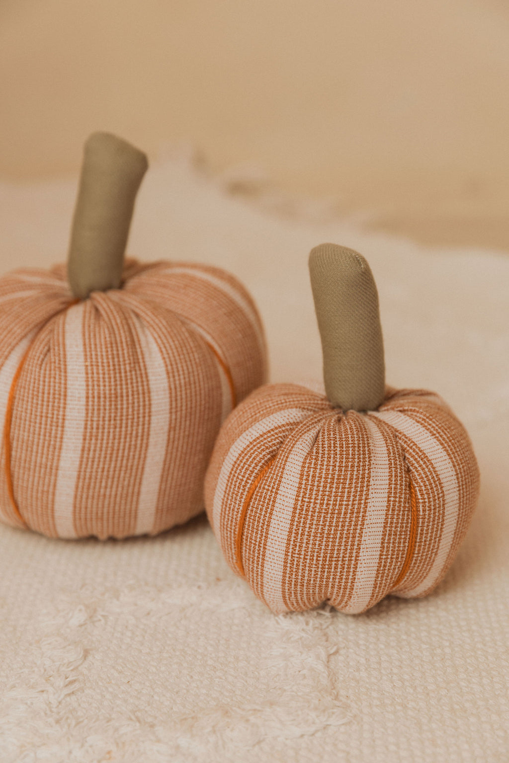 Calabaza Pequeña