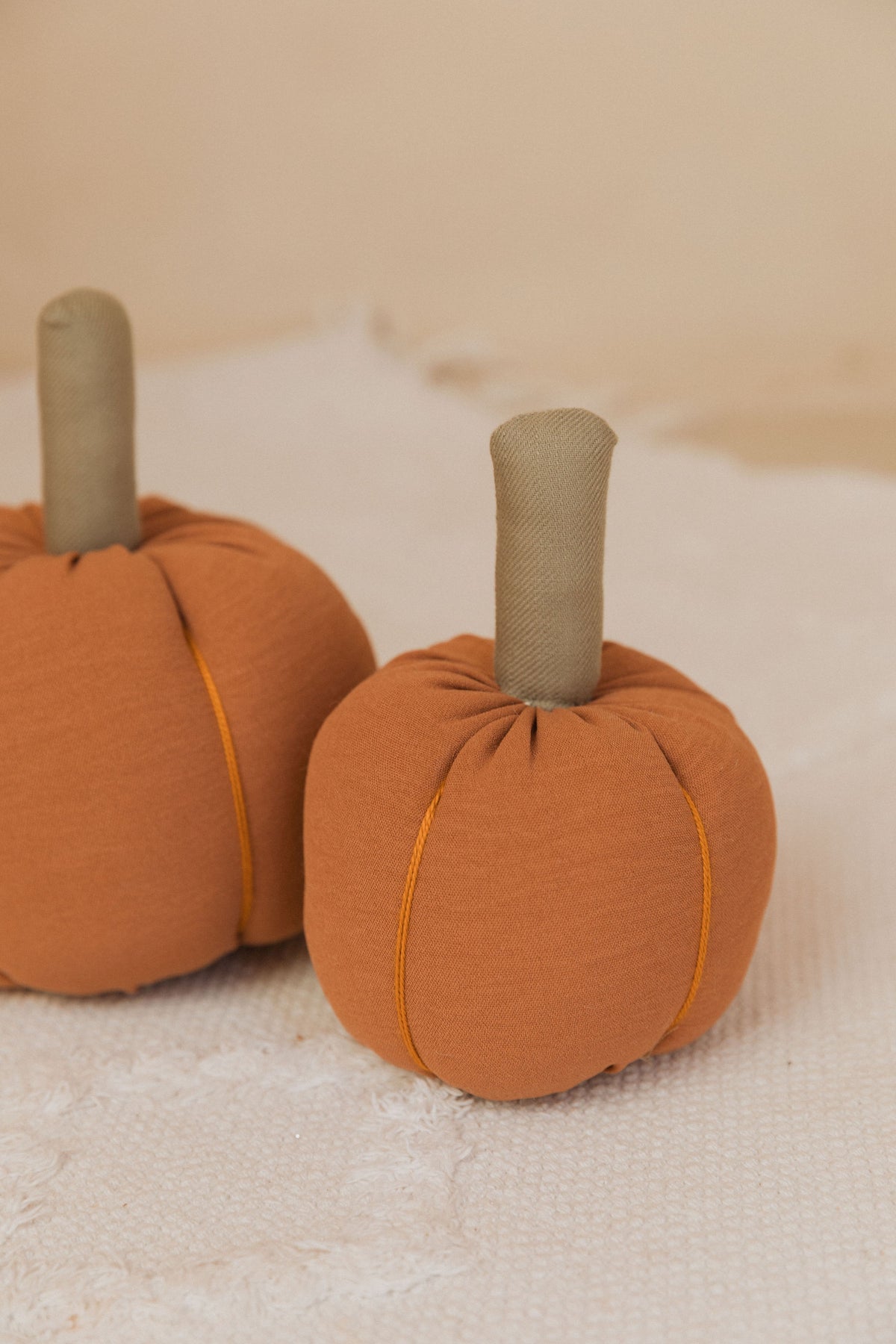 Calabaza Pequeña