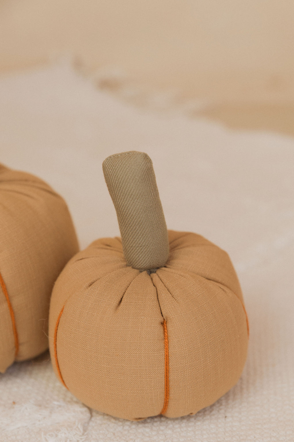 Calabaza Pequeña