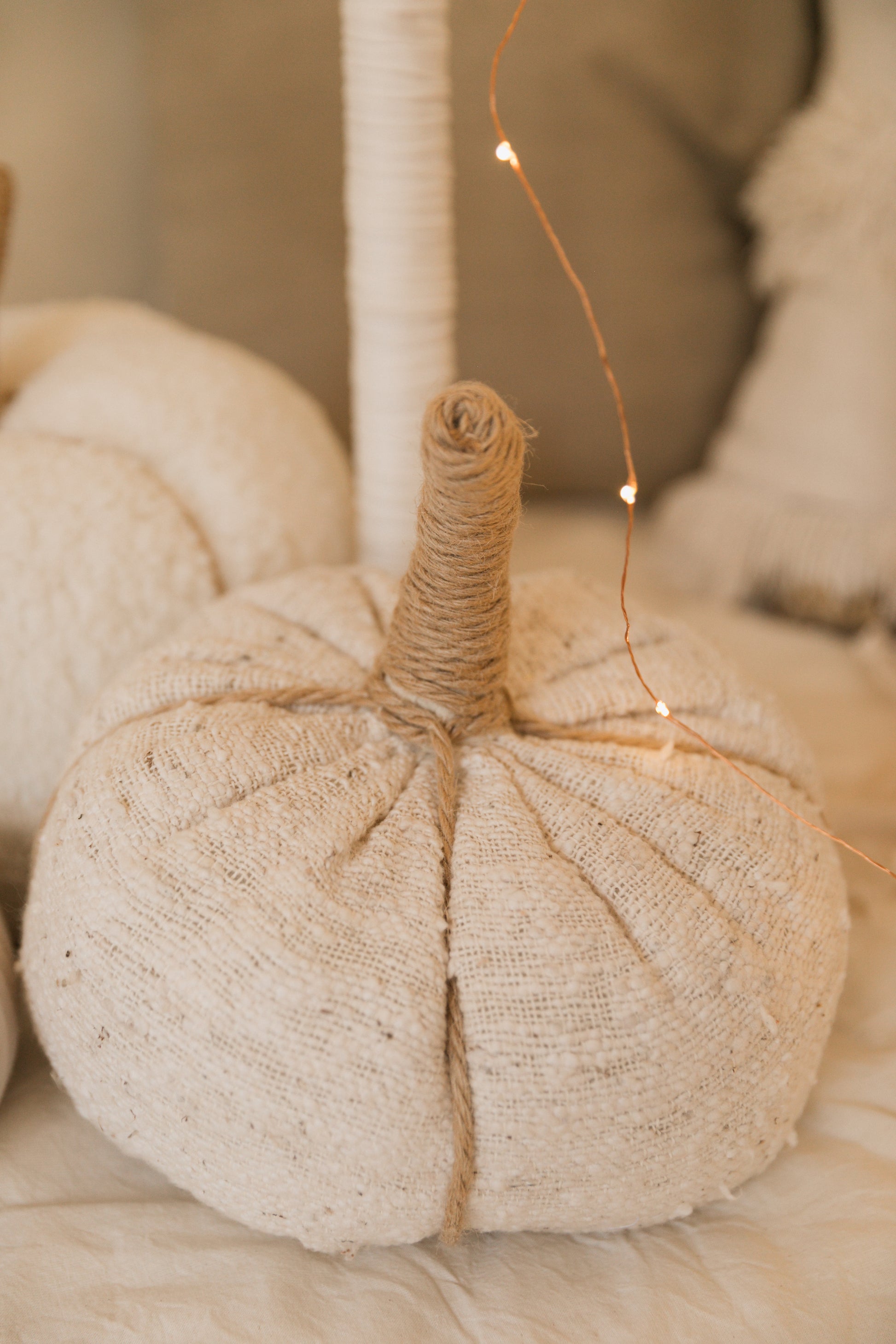 Calabaza Orgánica Mediana