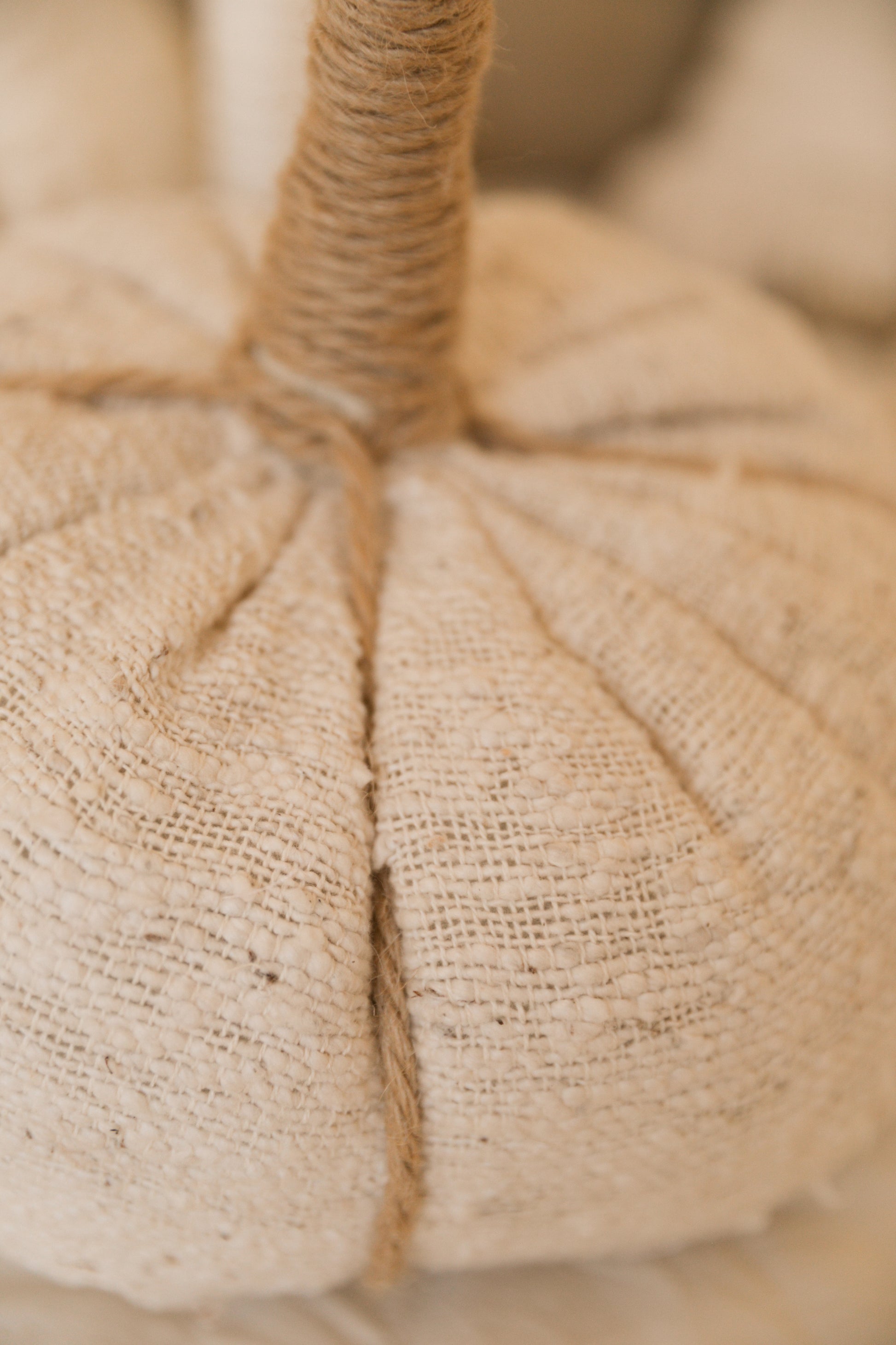 Calabaza Orgánica Mediana