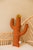 Cojín Cactus Tierra