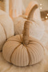 Calabaza Beige Pequeña