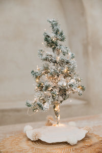 Árbol Nieve