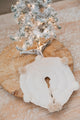 Pie De Árbol Mini