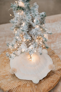 Pie De Árbol Mini