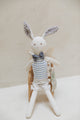 Angel Bunny