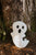 Fantasma Ovejero