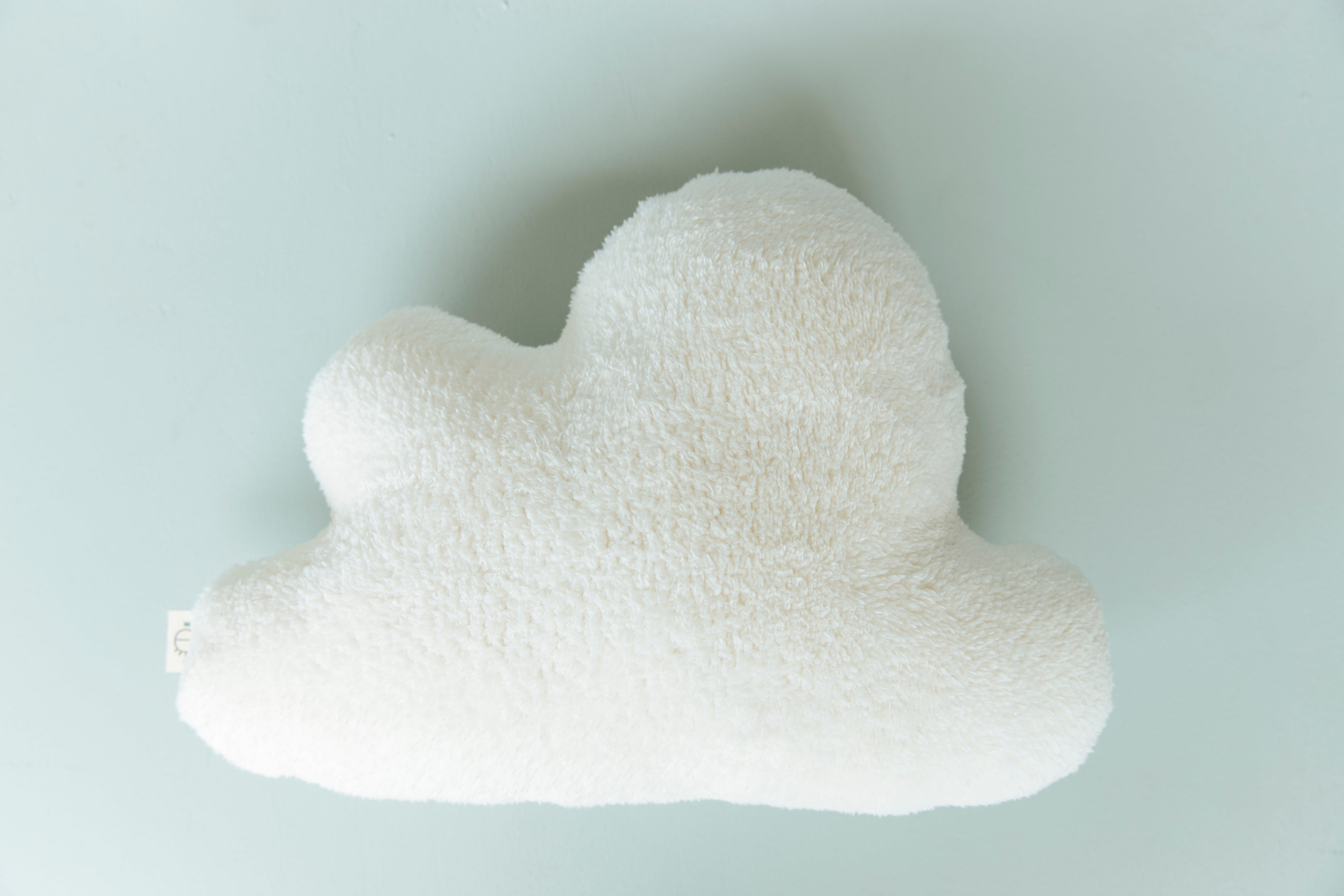 Cojin 2025 forma nube